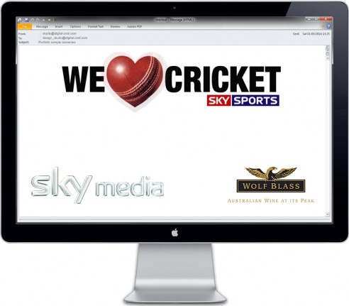 We love cricket eShot