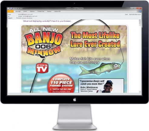 portfolio-html-email-zestify-banjo Banjo Minnow - eShot top