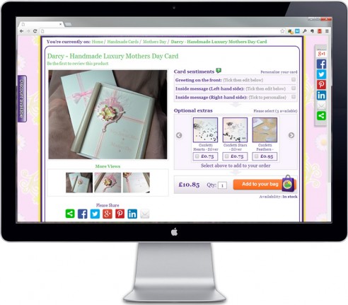 portfolio-looneylizard-product-page Looney Lizard Creations - Product page