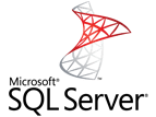 SQL Server logo