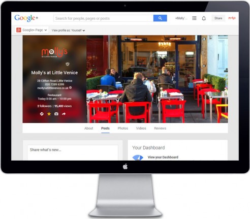 portfolio-social-media-google-plus-mollys Mollys google plus page and graphics