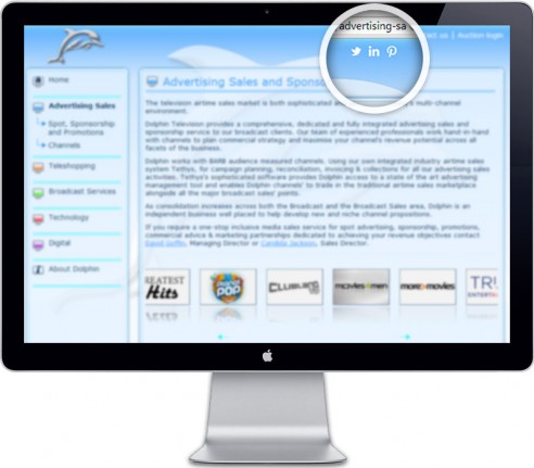 Dolphin follow social media icons