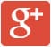 Google Plus social icon